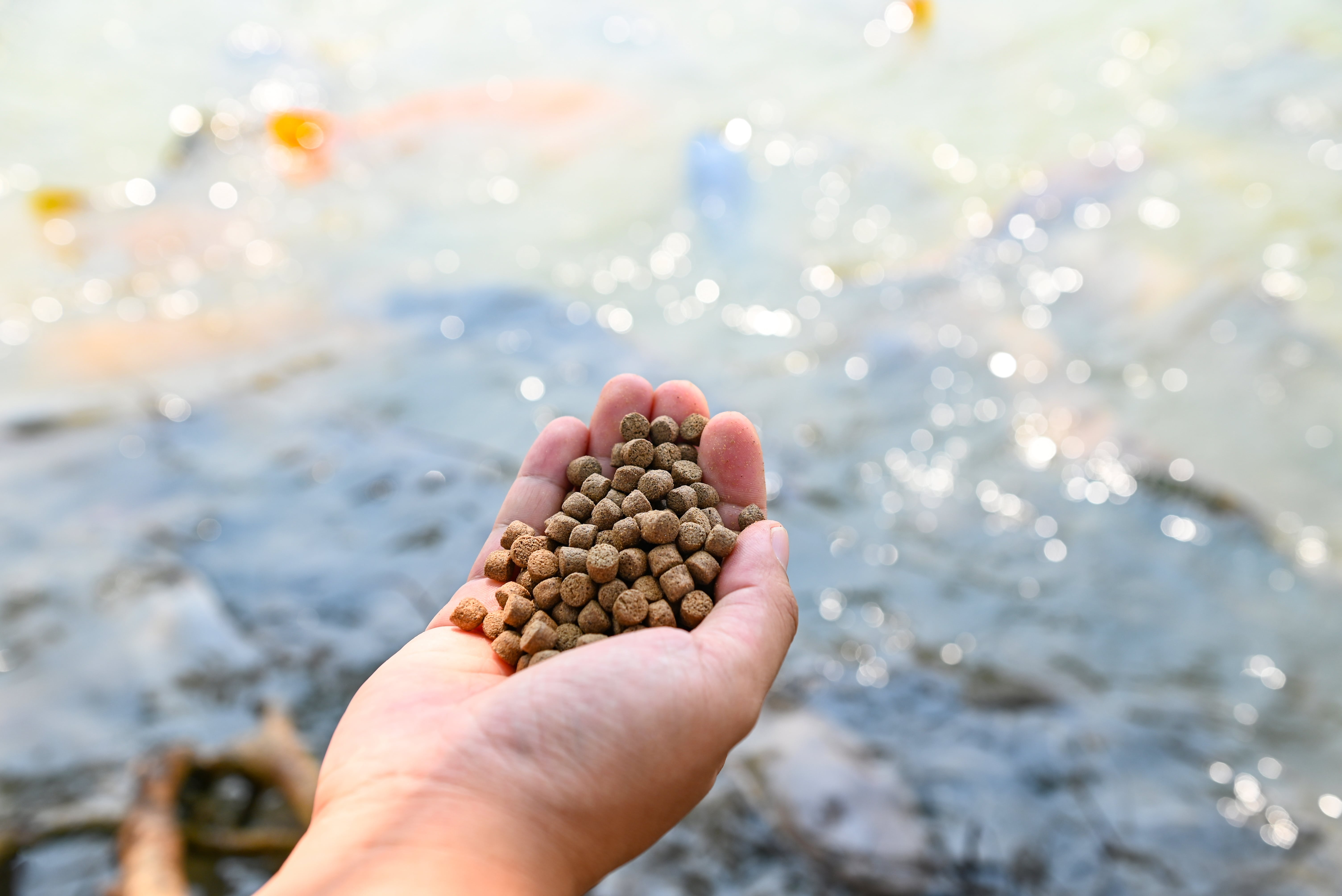  Yüksek Kaliteli Balık Yeminin Önemi: Unifeed'in Su Ürünleri Yetiştiriciliğine Bağlılığı